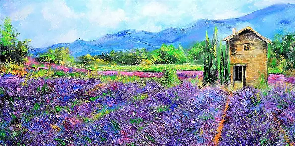 Radosław Popek - PROWANSJA 