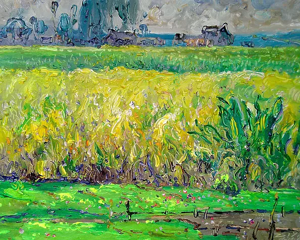 Andrew Zhao - Paddy Fields