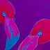 Oksana Chumakova, Painting "Flamingo", Obraz akrylowy - płótno, 60 x 60