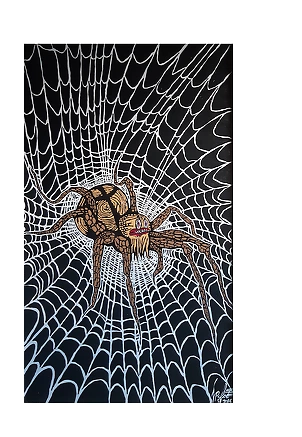   - Night Web Spider