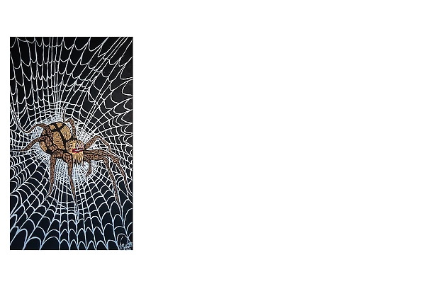 Rafał Jarosz - Night Web Spider