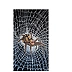 Rafał Jarosz - Night Web Spider
