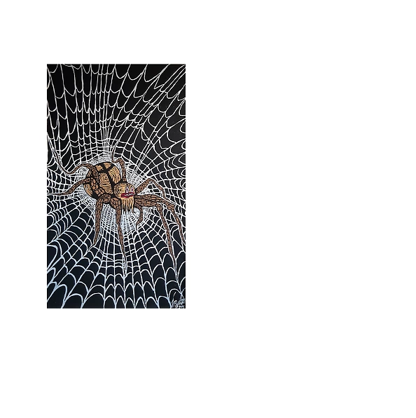 Rafał Jarosz - Night Web Spider