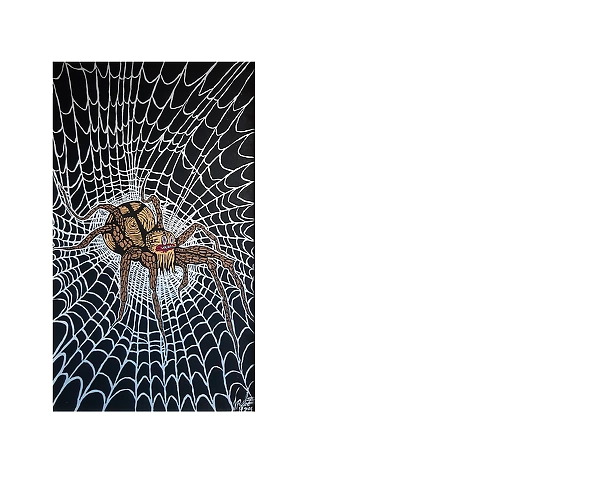 Rafał Jarosz - Night Web Spider