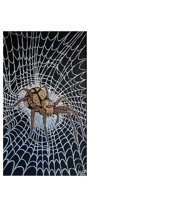 Rafał Jarosz - Night Web Spider