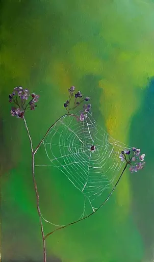 Paulina Lebida - Spider's web