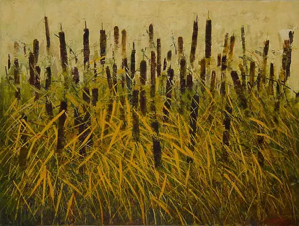 Tadeusz Gazda - Water clubs IV