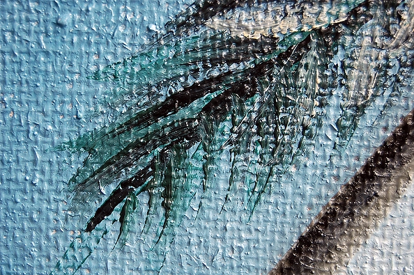 Amelia Augustyn - Palm trees