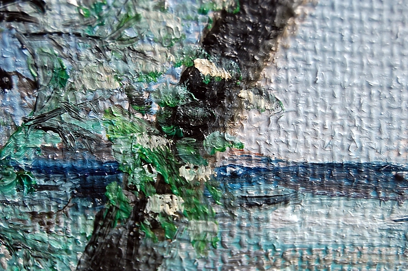 Amelia Augustyn - Palm trees