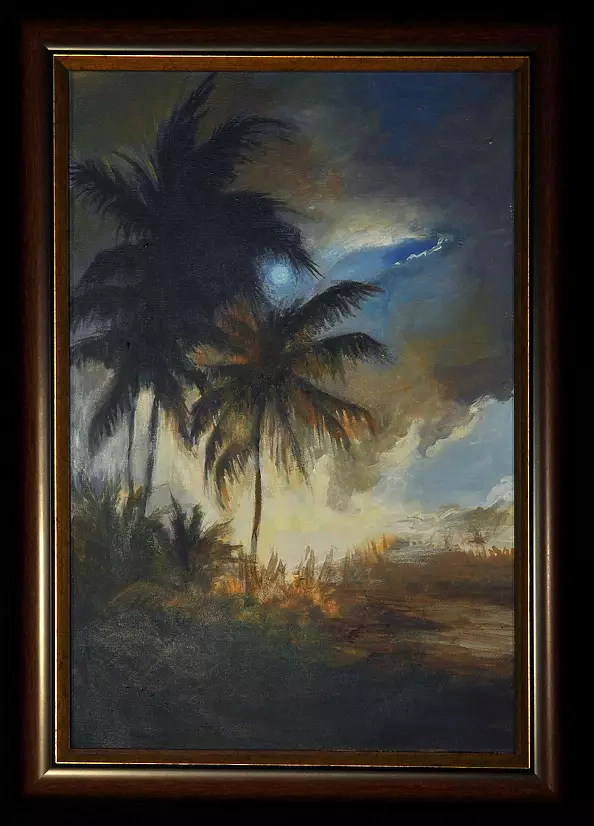 Renata Rychlik - Palmy o zmierzchu, Dominikana