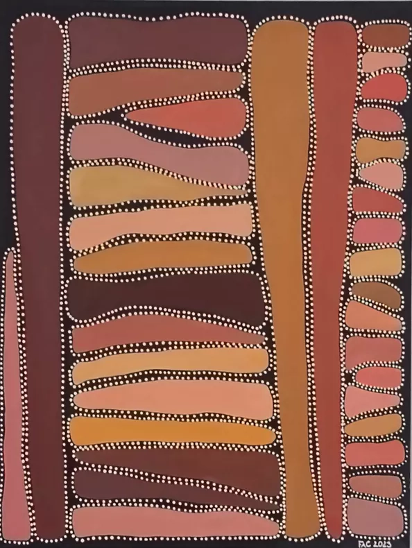 Franciszek Antoni Cieć - Souvenirs from places I've never been - Australia 2