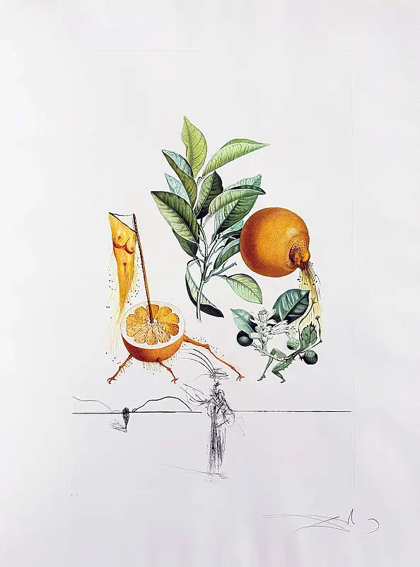 Salvador Dali - Pamplemousse érotique (Erotic Grapefruit), 1969, lithograph