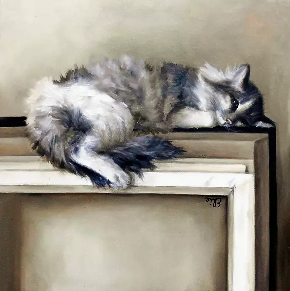 Elżbieta Mozyro - Mr. KOT