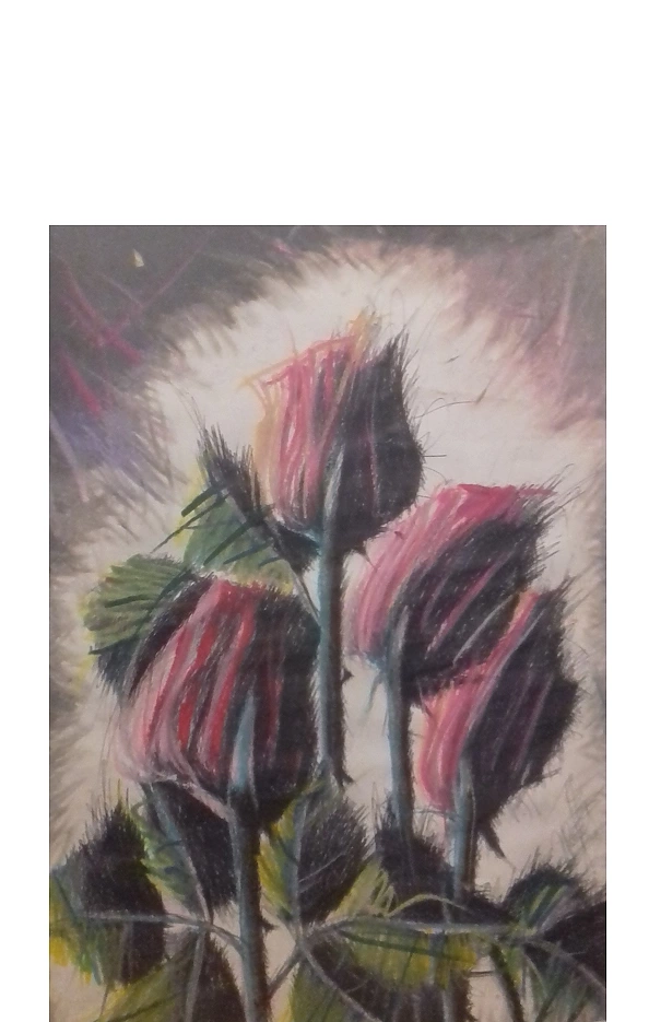 Rafał Jarosz - Panoramic Roses