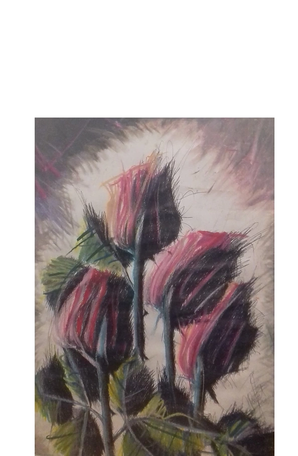 Rafał Jarosz - Panoramic Roses