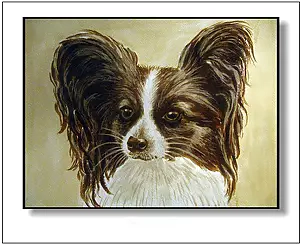 Jolanta Dusza - Papillon