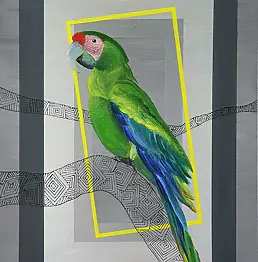 karolina kowalczyk - Papuga