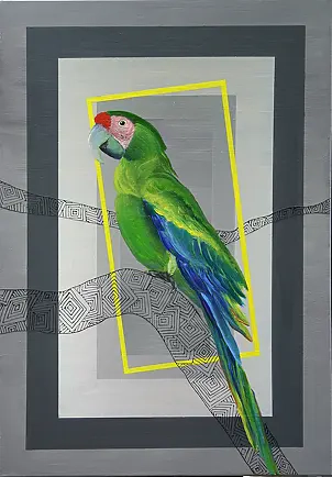   - Parrot