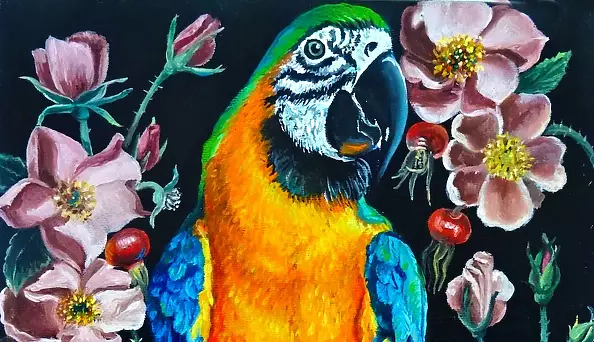 Marta Piórko - Parrot