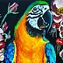 Marta Piórko - Parrot
