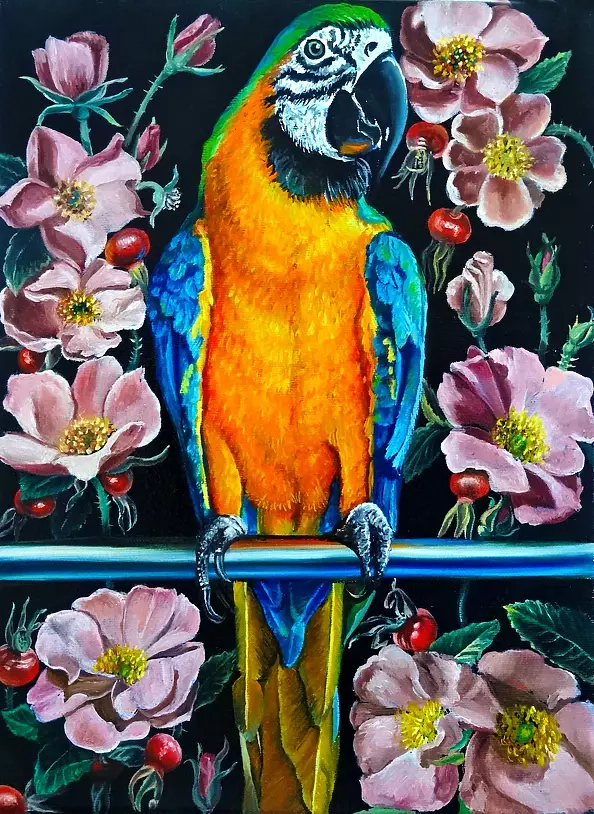 Marta Piórko - Parrot