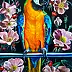 Marta Piórko - Parrot