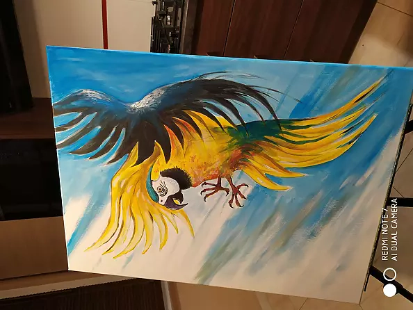 Ryszard Niedźwiedzki - Parrot