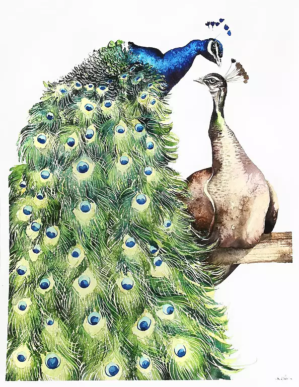 Karolina Kijak - A pair of Pavia