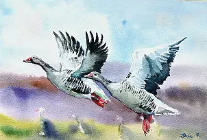 Zdzisław Rutkowski - A pair of wild geese