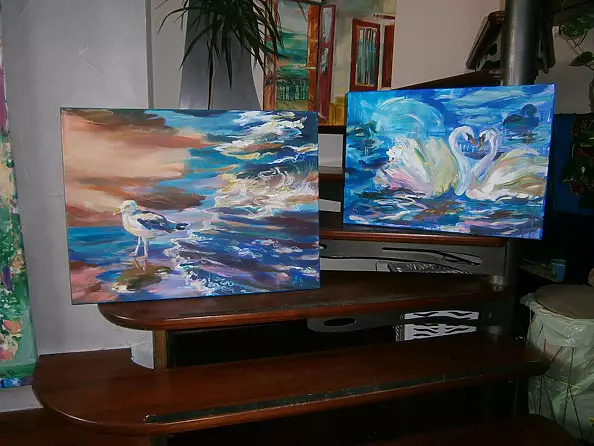 Anna Borcz - A pair of swans