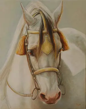 Marzena Zuk - Parade