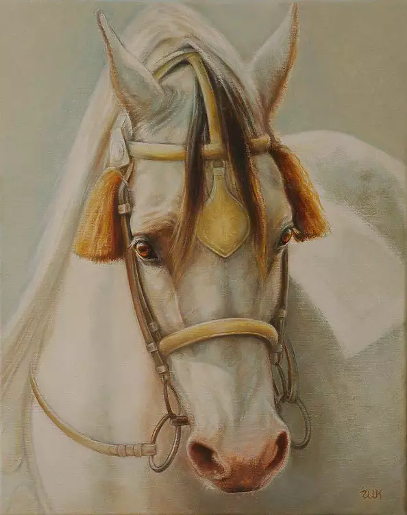 Marzena Zuk - Parade