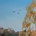 Henadzy Havartsou, Golden Hour Park, Quadro a olio - tela, 70 x 50