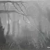 Zbigniew Bień - Parc dans le brouillard