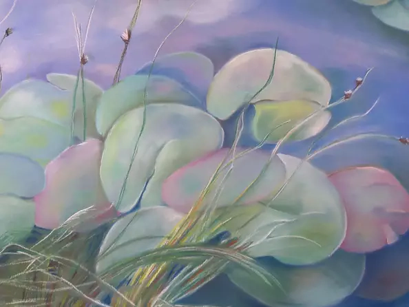 ilona jankowska wojtek - Park water lilies