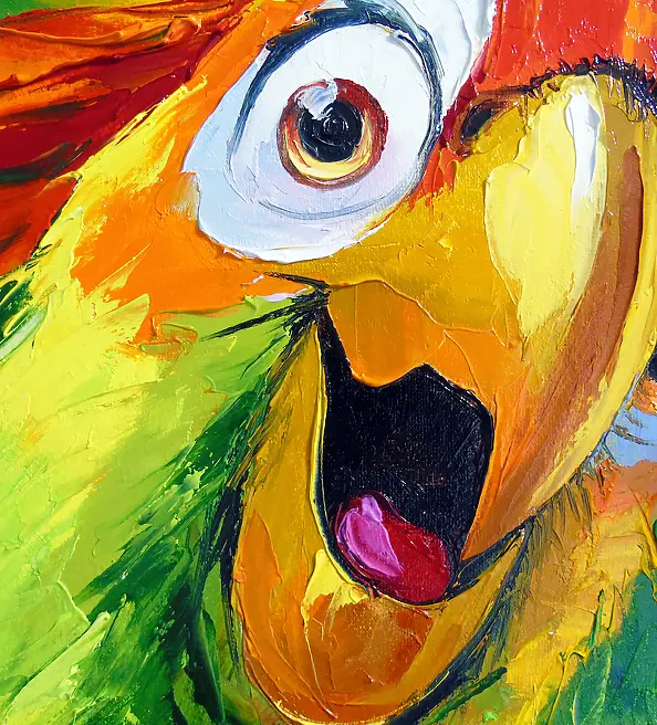 Olha Darchuk - Parrot Surprise