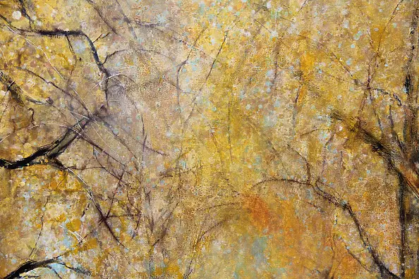 Zbigniew Czarnecki - Paryż