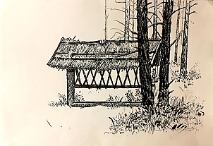 Rafał Czwichocki - Pasture in the forest