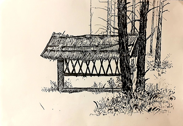 Rafał Czwichocki - Pasture in the forest