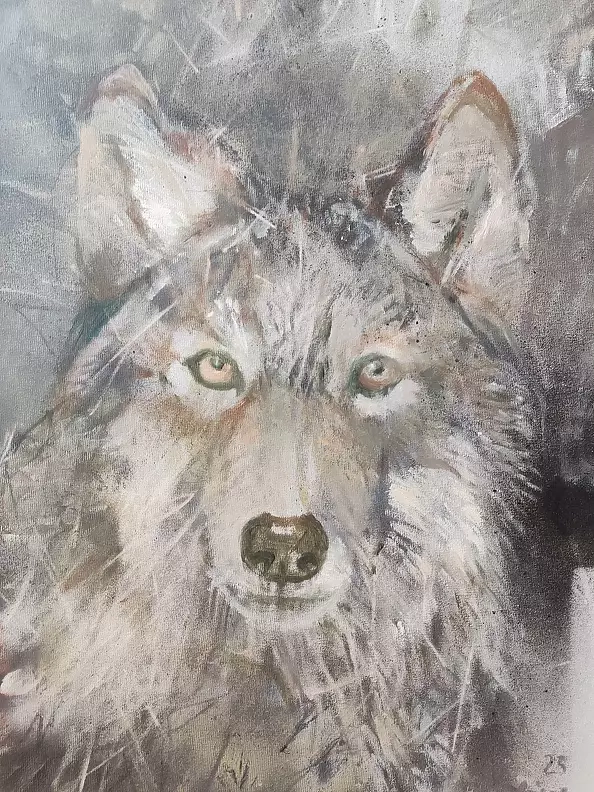 Aldona Zając - Guarda dritto negli occhi