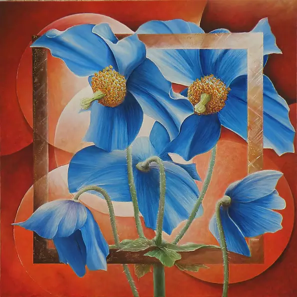 Godille Frank - Pavots du Tibet