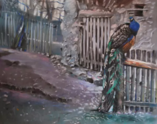 Andrzej Siewierski - Paw