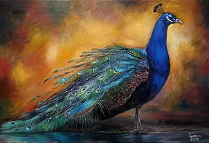 Iwonna Salak - Peacock