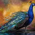 Iwonna Salak - Peacock