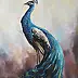 Michalina Derlicka - Peacock