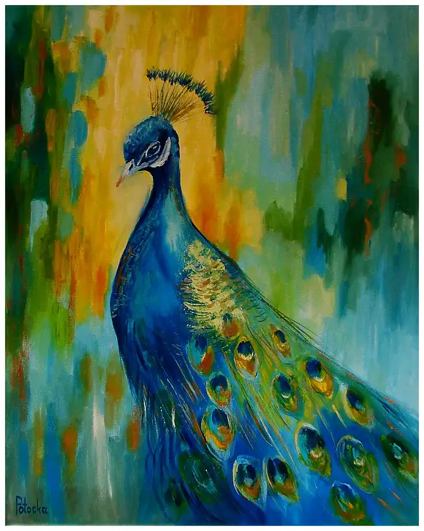 Grażyna Potocka, Peacock oil painting 50cm-40cm, Oil painting - canvas, 40 x 50