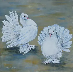 Katarzyna Niemczak - Pawiki białe