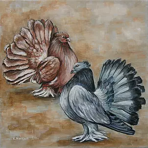 Katarzyna Niemczak - Pawiki