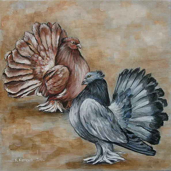 Katarzyna Niemczak - Pawiki