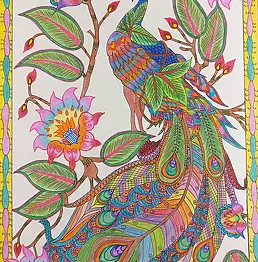 Anila Saxena - Peacock Pride
